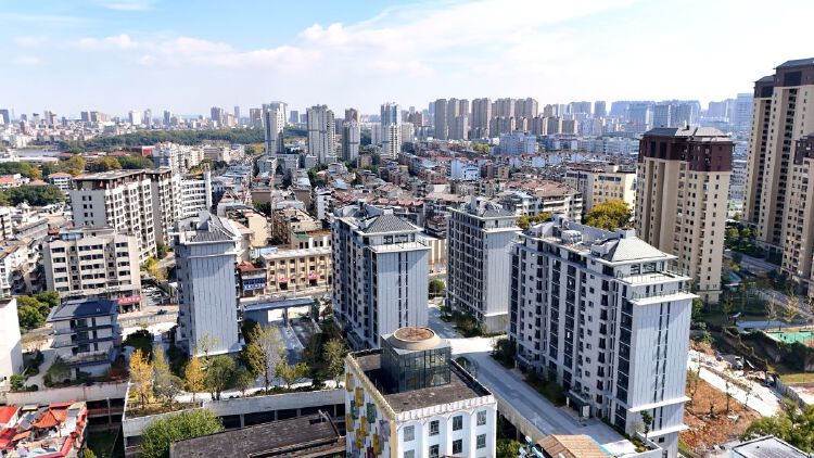 实景图2025年10月23日