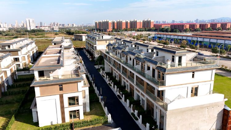 实景图2025年11月