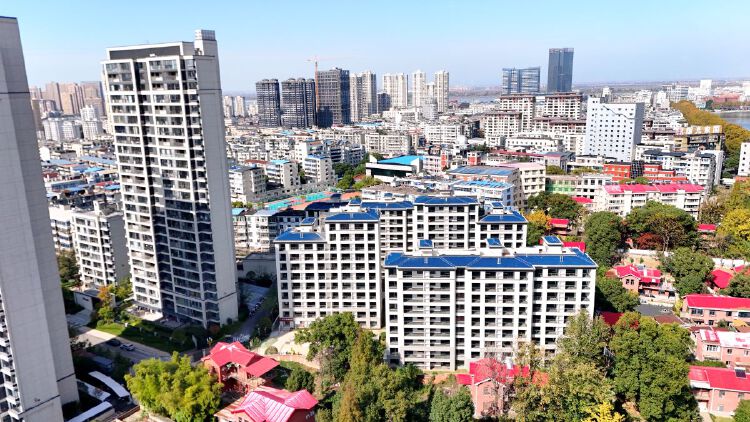 实景图2025年11月15日