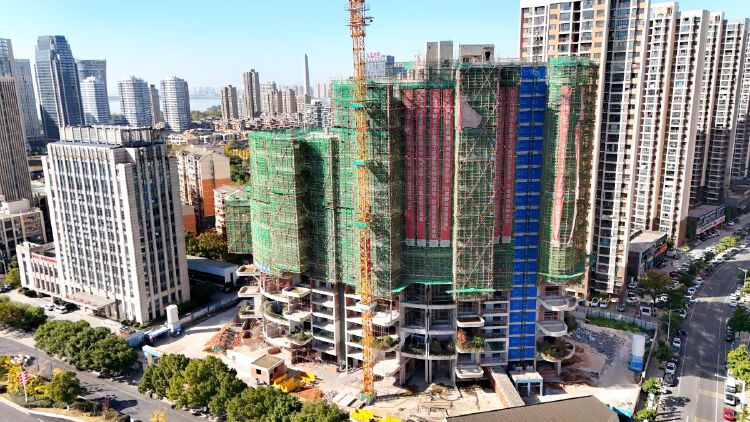 实景图2025年11月26日