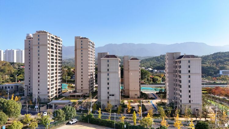 实景图2025年11月