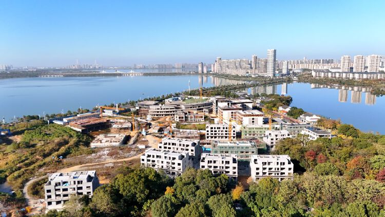 实景图2025年11月20日