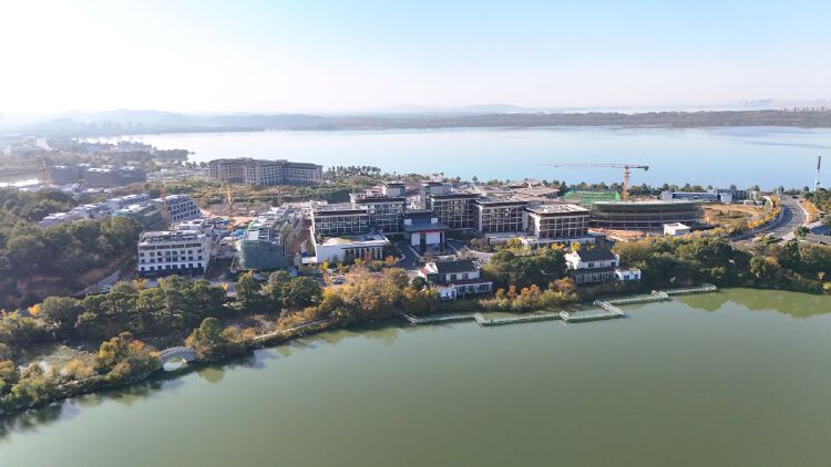 实景图2025年11月20日