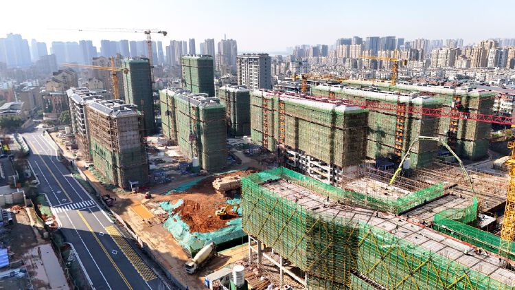 实景图2025年12月15日