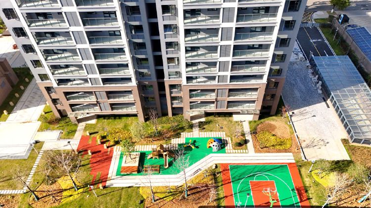 实景图2025年12月15日