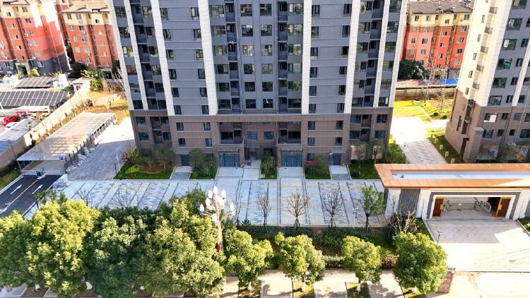 实景图2025年12月15日