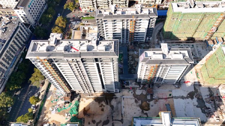 实景图2025年12月15日