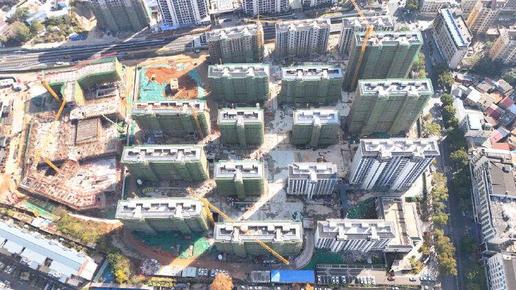 实景图2025年12月15日