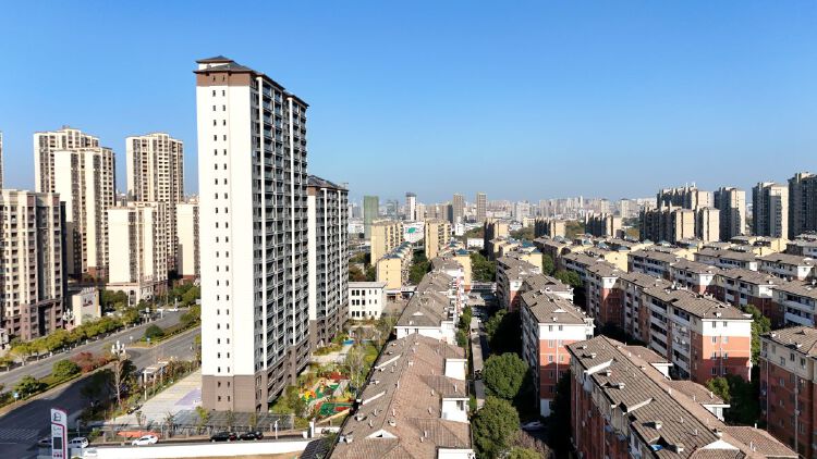 实景图2025年12月15日