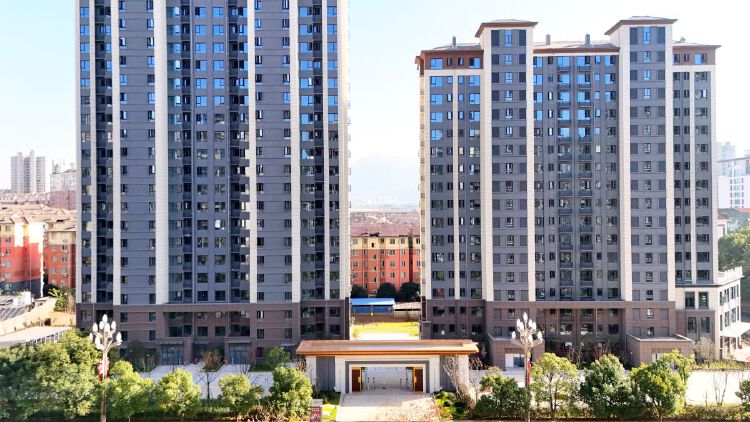 实景图2025年12月15日