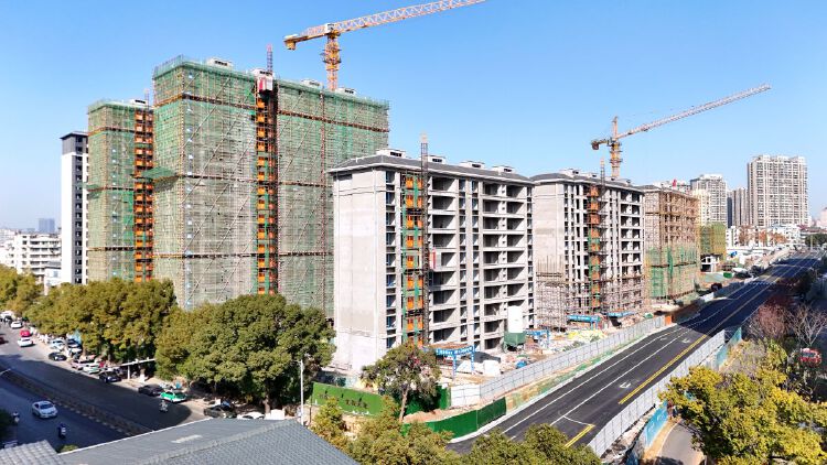 实景图2025年12月15日