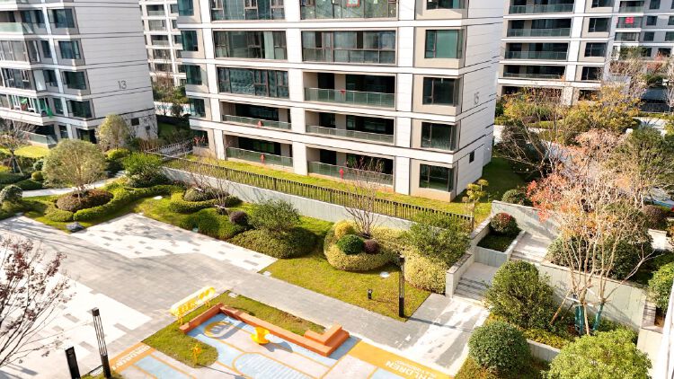 实景图2025年12月15日