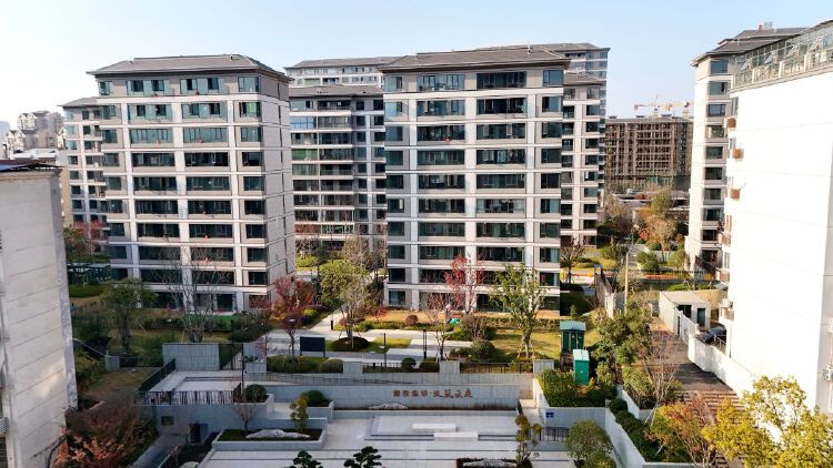 实景图2025年12月15日