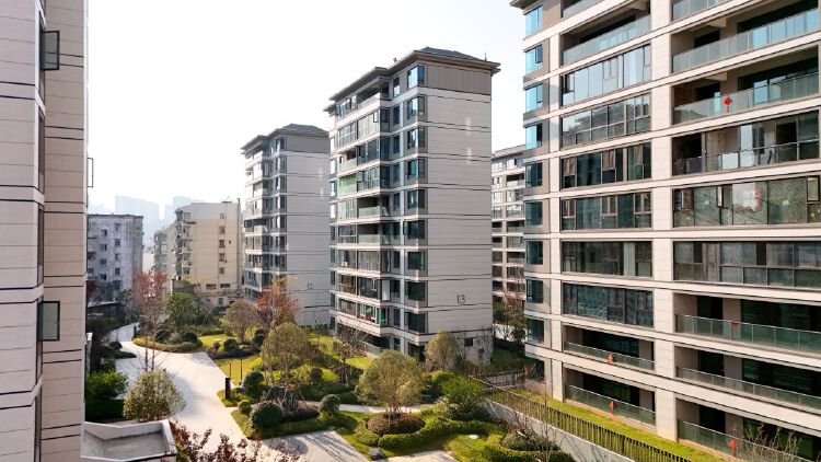 实景图2025年12月15日