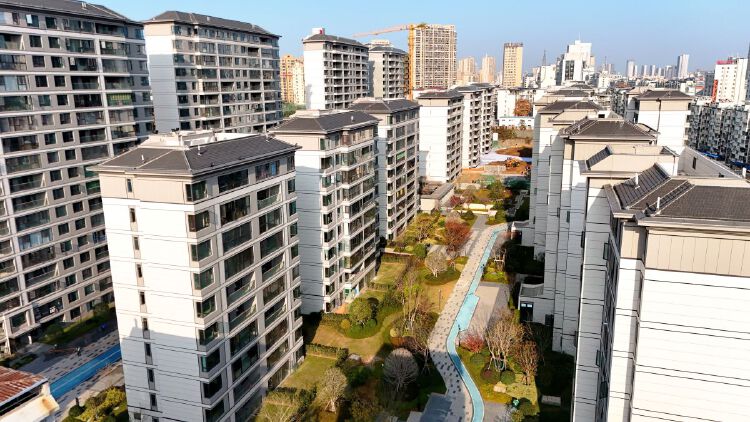 实景图2025年12月15日