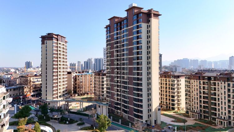 实景图2025年12月