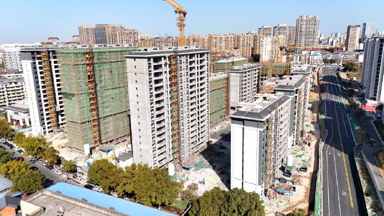 实景图2026年1月10日