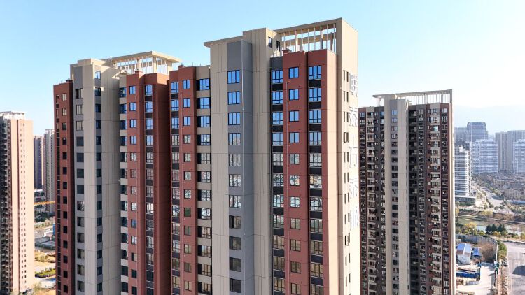 实景图2025年12月15日