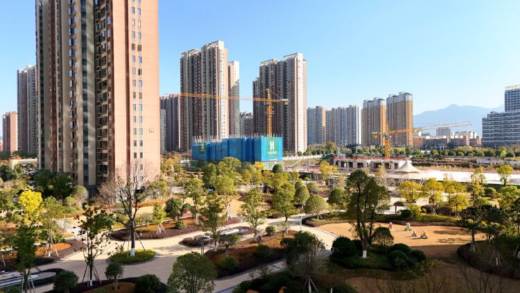 实景图2025年12月15日