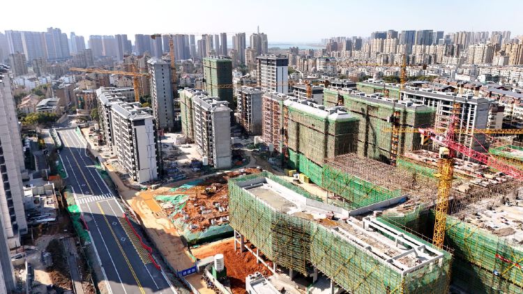 实景图2026年1月10日