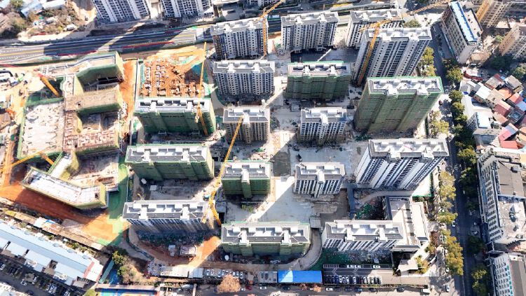 实景图2026年1月10日