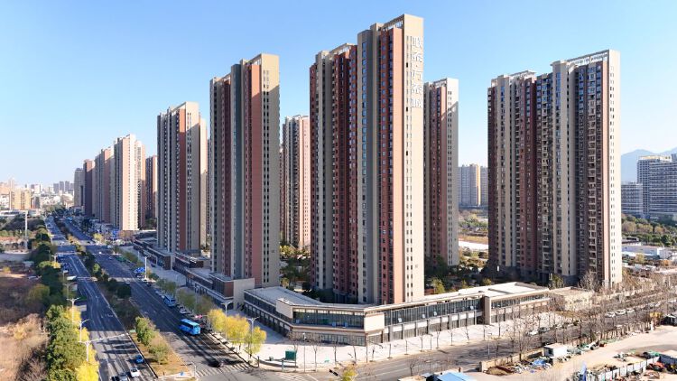 实景图2025年12月15日