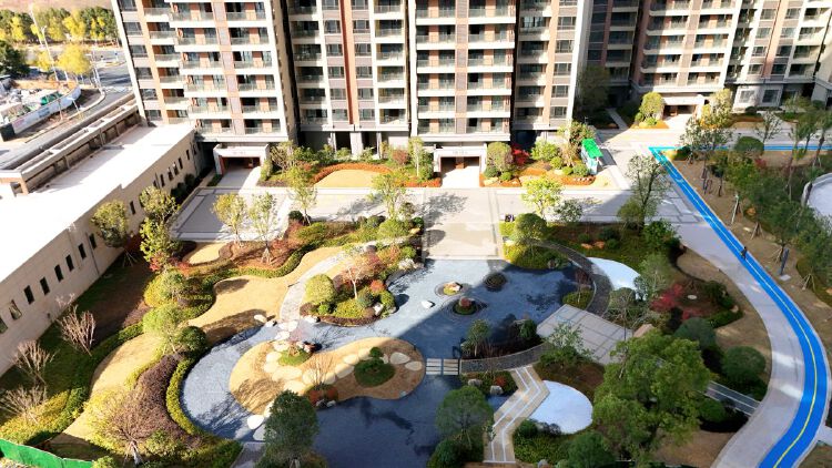 实景图2025年12月15日