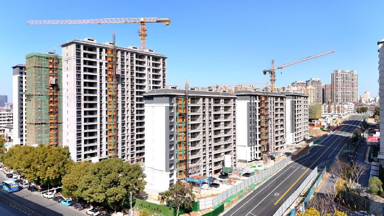 实景图2026年1月10日