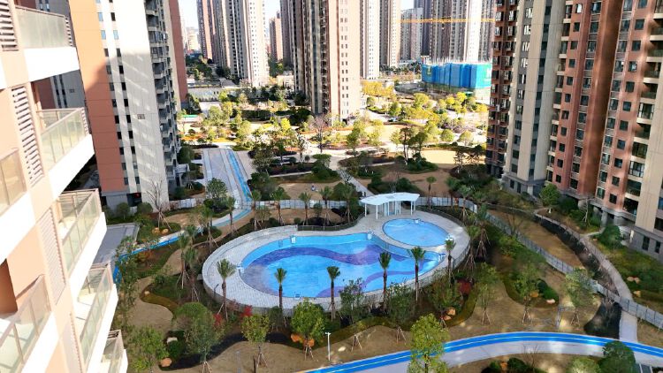 实景图2025年12月15日