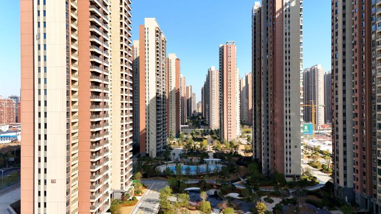 实景图2025年12月15日