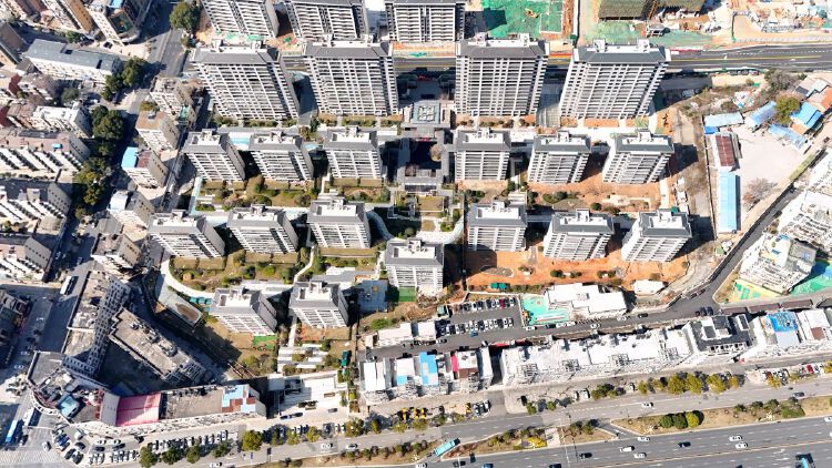 实景图2026年2月20日