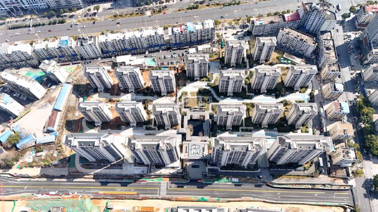 实景图2026年2月20日