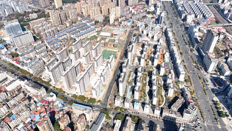 实景图2026年2月20日