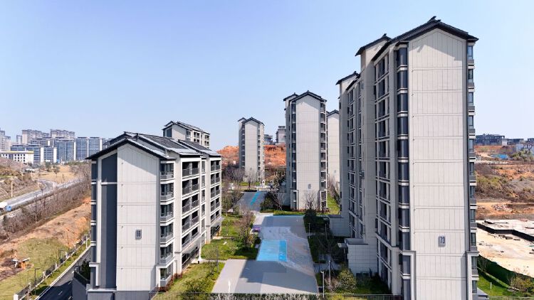 实景图2026年4月15日