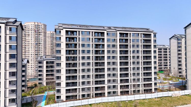 实景图2026年4月15日