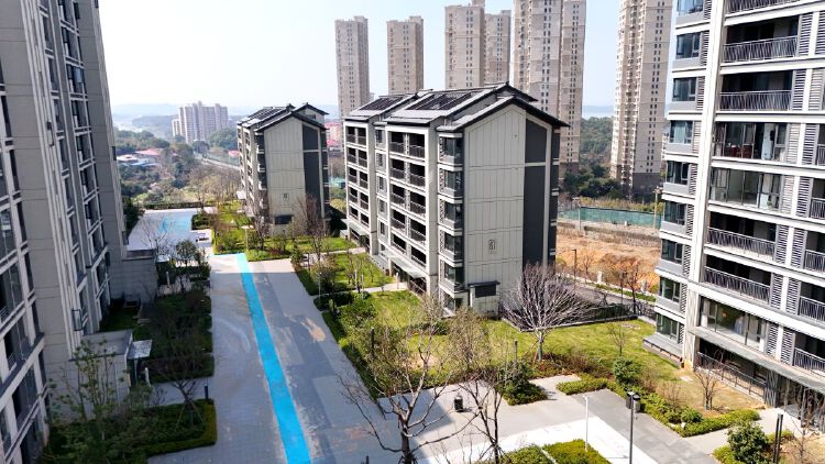 实景图2026年4月15日