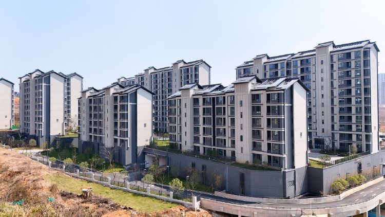 实景图2026年4月15日