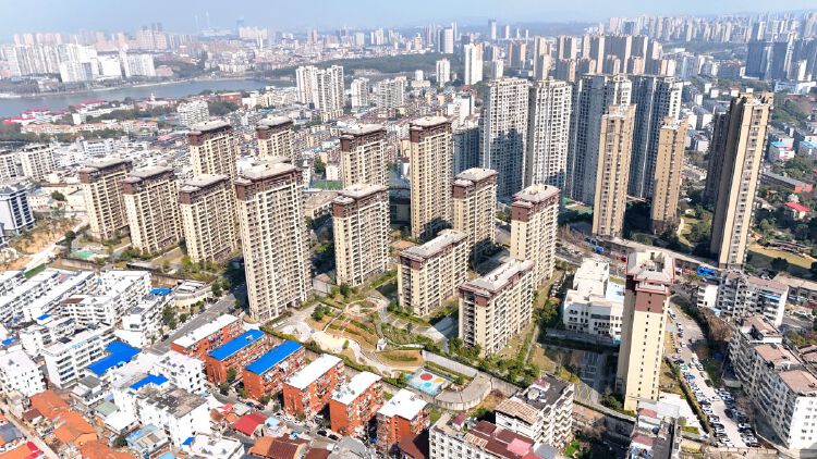实景图
