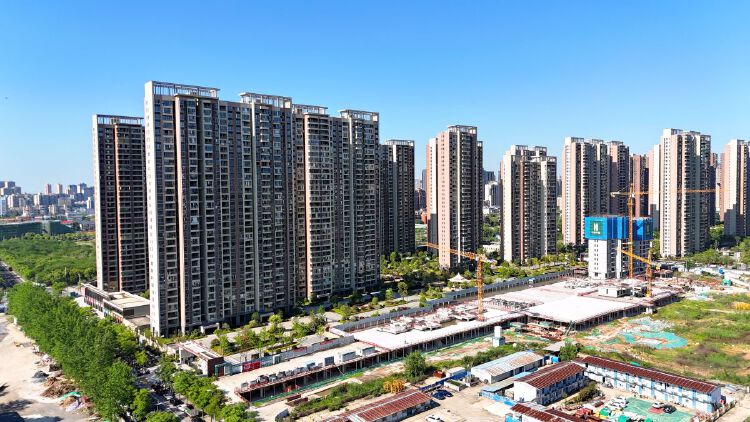 实景图2026年4月15日