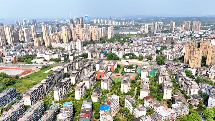 实景图