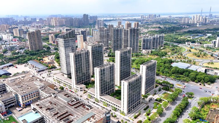 实景图2023年11月1日