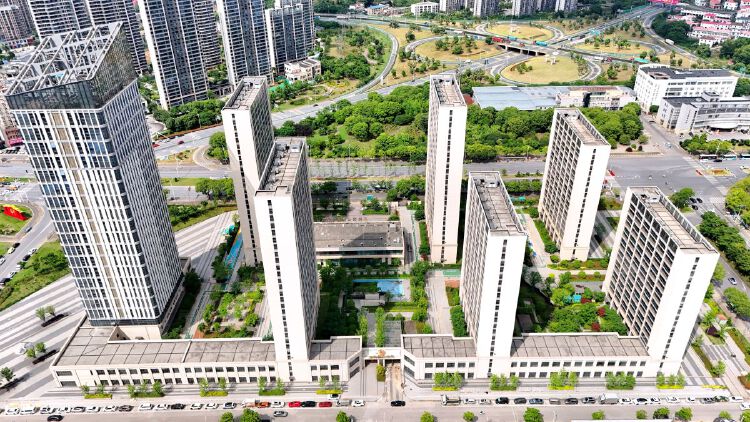 实景图2023年11月1日