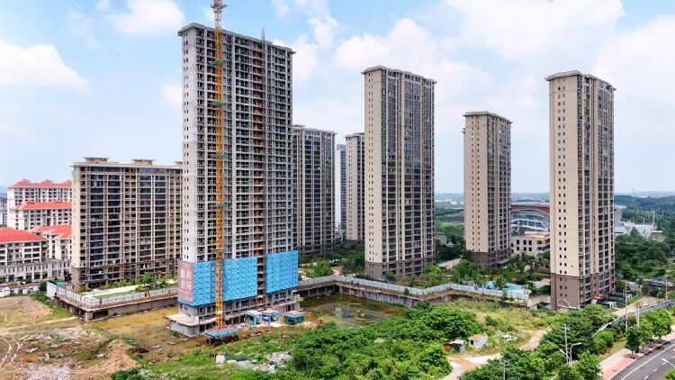 实景图