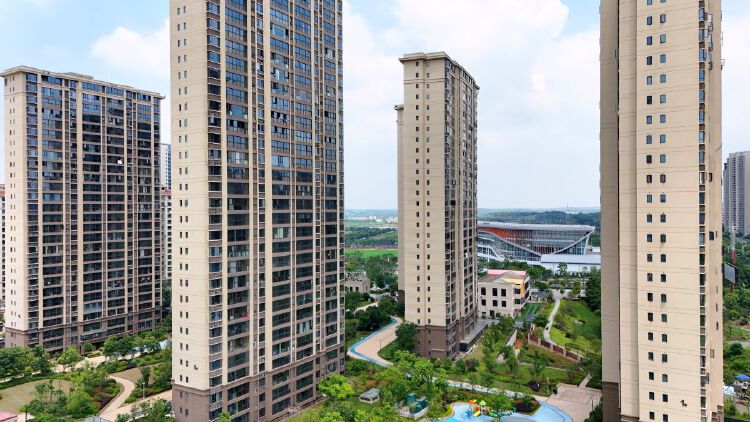 实景图